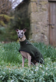 Rollkragenjacke, Dunkelgrün Rollkragenjacke, Dunkelgrün