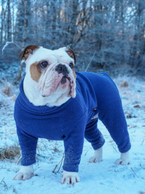 Hundeanzug, Denimblau Hundeanzug, Denimblau