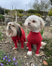 Sommeranzug, Rot Sommeranzug, Rot