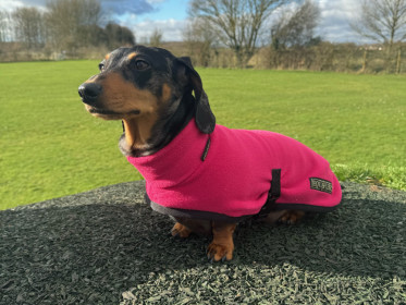 Rollkragenjacke, Rosa Rollkragenjacke, Rosa