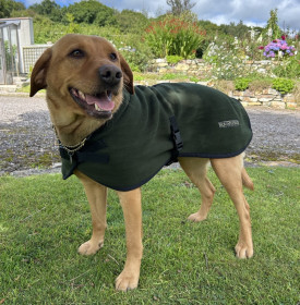 Hundejacke, Dunkelgrün Hundejacke, Dunkelgrün