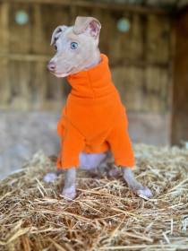 Hundepullover, Leuchtend Orange Hundepullover, Leuchtend Orange