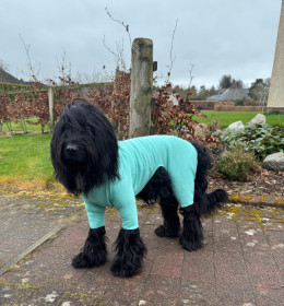 T-Shirt-Anzug, Minzgrün T-Shirt-Anzug, Minzgrün
