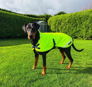 Hundejacke, Neongelb Hundejacke, Neongelb